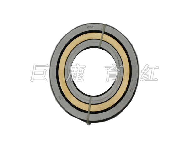 TR100 Bearing 23041055