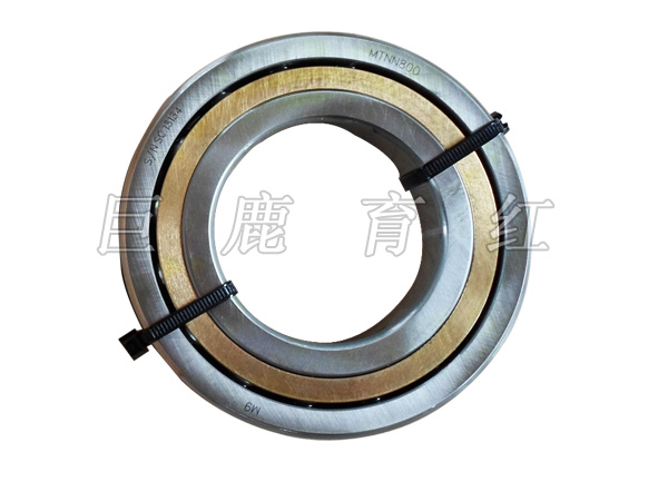 TR100 Bearing 29507729